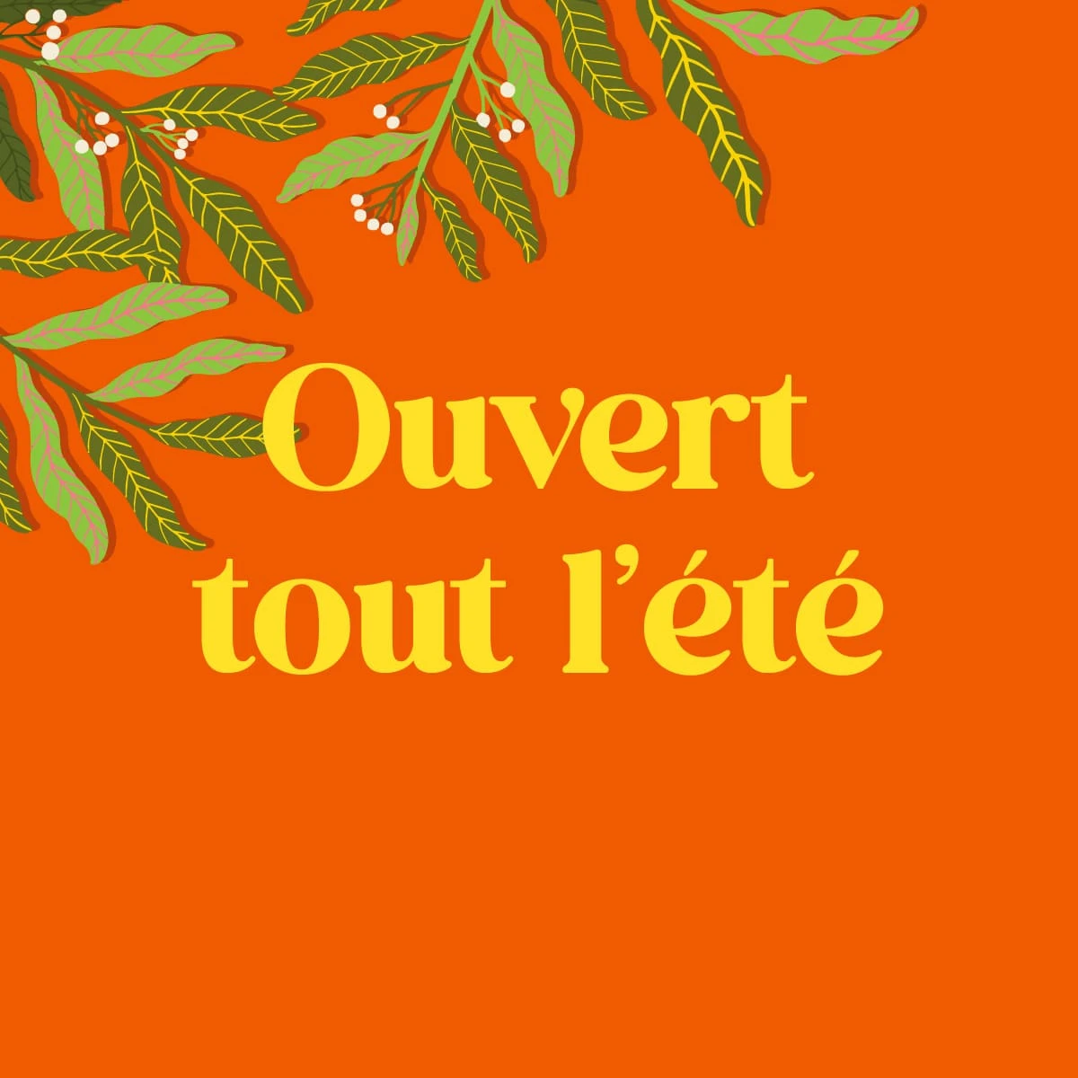 ouvert-ete-ecole-danses-latines_tropicales_c ouvert-ete-ecole-danses-latines_tropicales_c