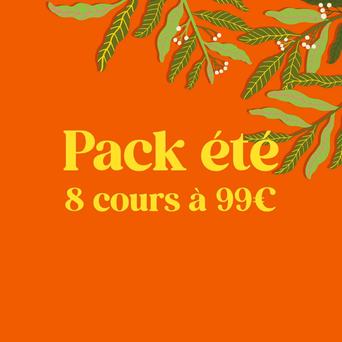 pack-special-ete-ecole-danses-latines-tropicales
