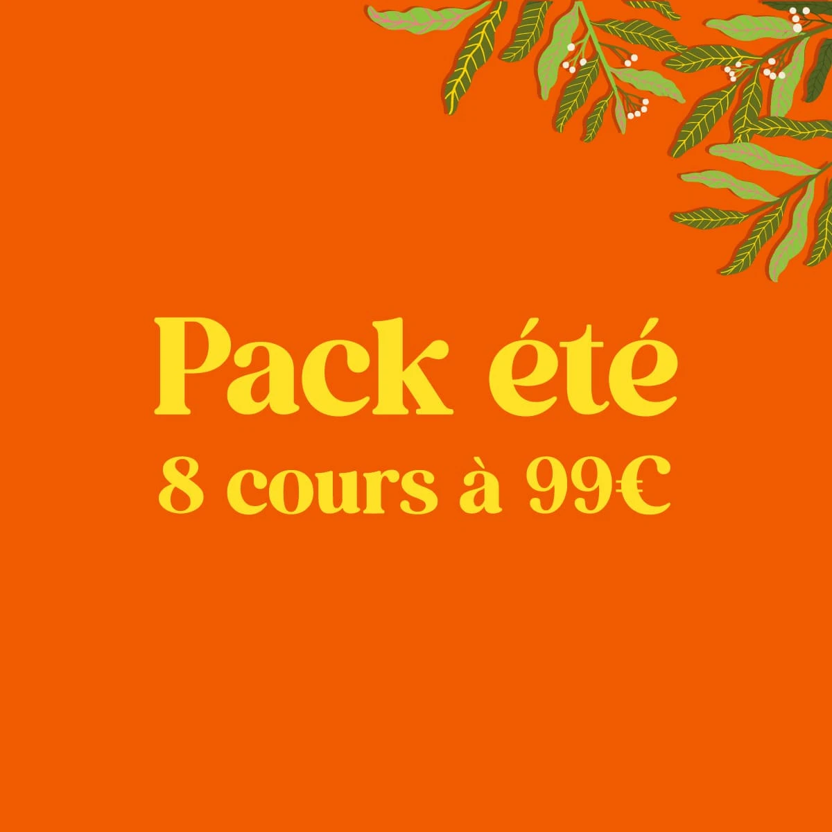 pack-special-ete-ecole-danses-latines-tropicales_