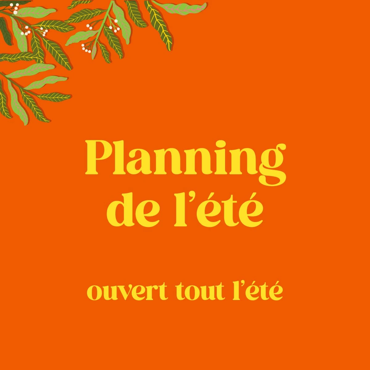 planning-ete-ecole-danses-latines-tropicales
