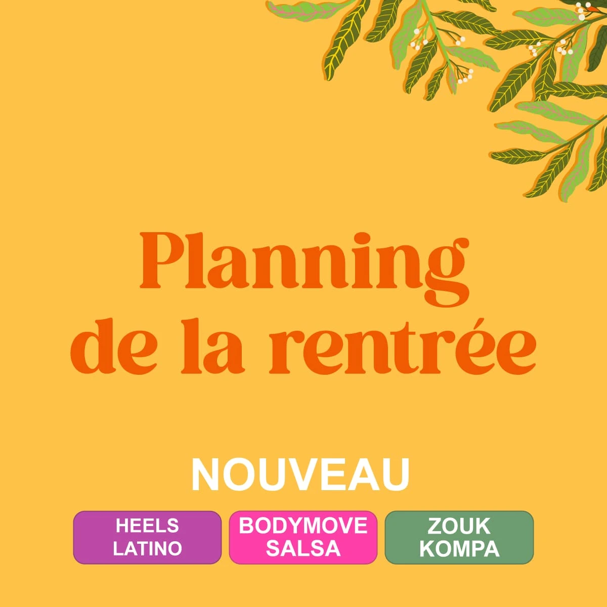 planning-rentree-ecole-danses-latines-tropicales